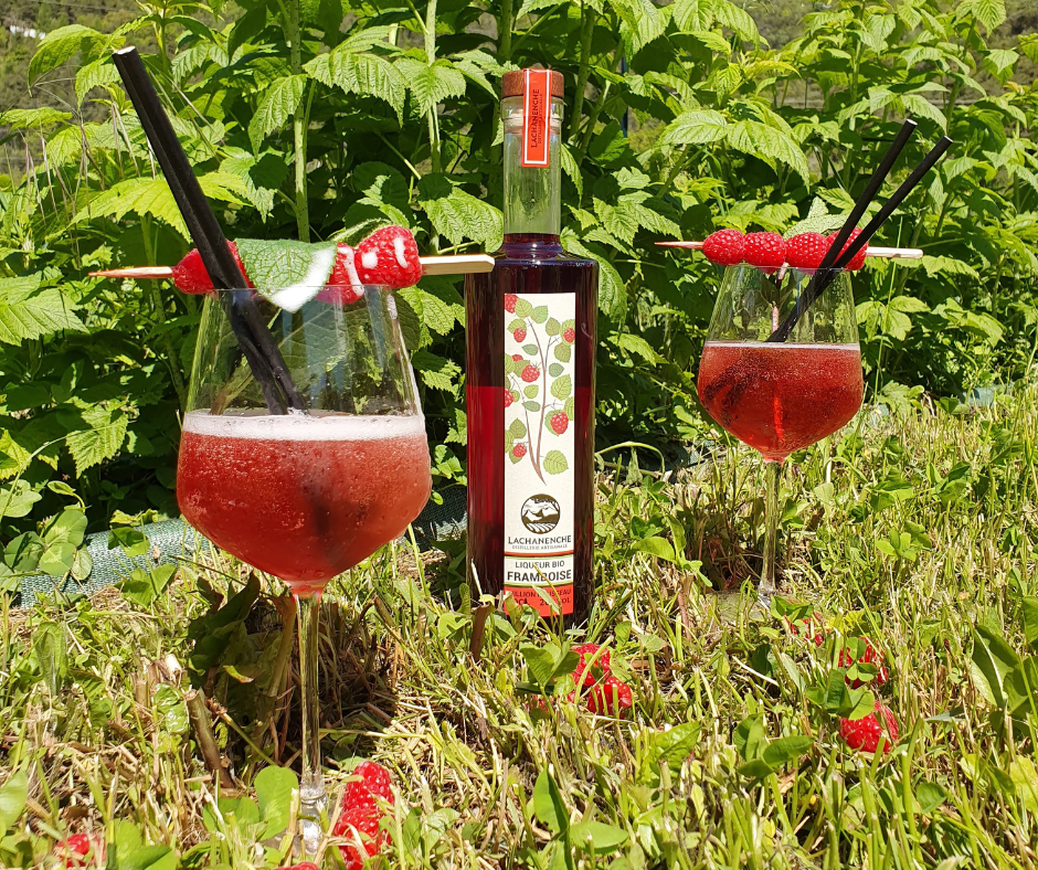 Bab's Berry