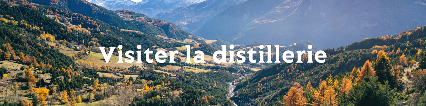 VISITES